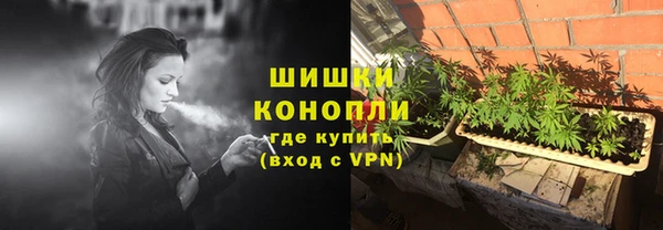 индика Богданович