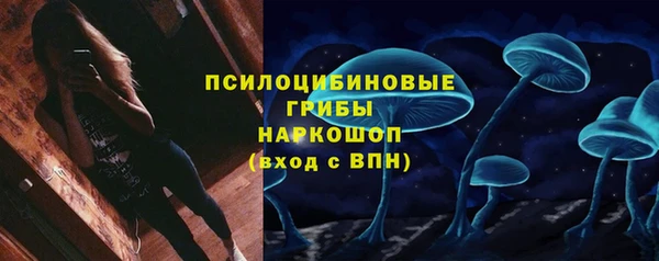 мдпв Михайловск
