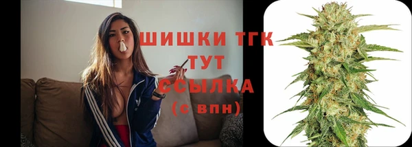 мдпв Михайловск