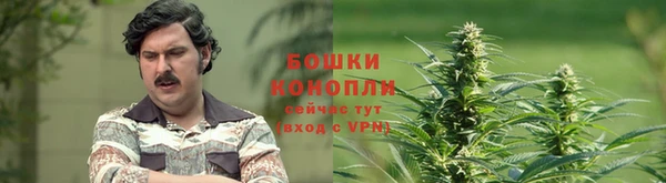 прущая мука Михайлов