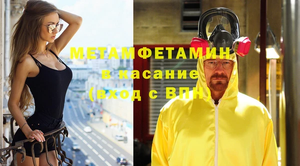 прущие грибы Ачинск