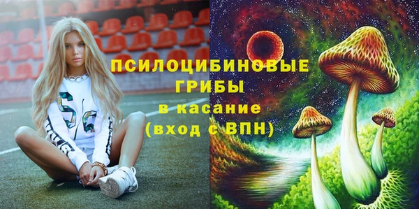 прущая мука Михайлов