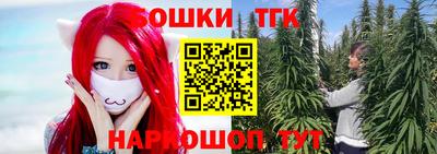 PSILOCYBIN Гатчина