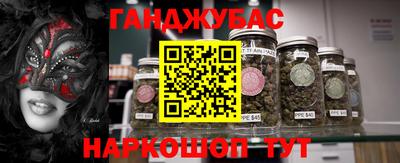 PSILOCYBIN Гатчина
