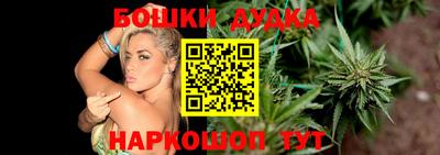 PSILOCYBIN Гатчина