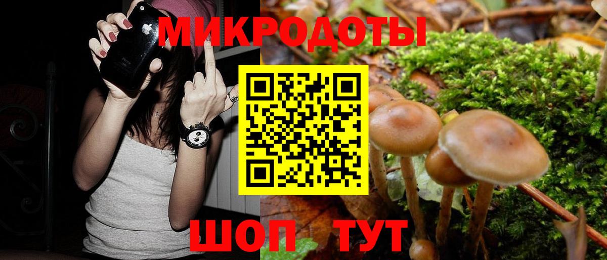 Псилоцибиновые грибы GOLDEN TEACHER Железногорск